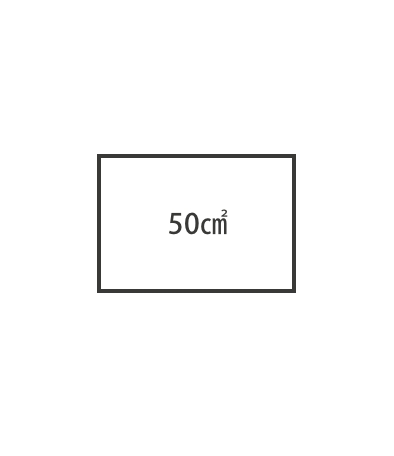 版サイズの基本は50㎠以内です。